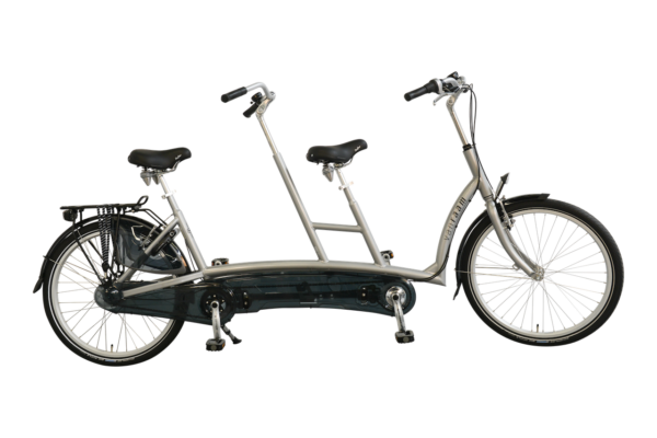 Van Raam Twinny Adult Tandem Bike in Silver Frame Color