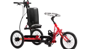 Trivel T-250 Kids Orthopedic Adaptive Trike with red frame